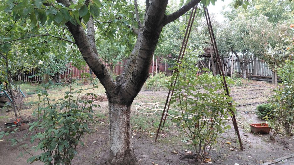 Casă Spațioasă P+1+M, 265 mp Utili, 1000 mp Teren – Toate Utilitățile, Vânători - Poză 38