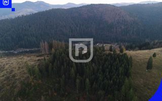 Teren situat in Frasin | BUCOVINA - Poză 7