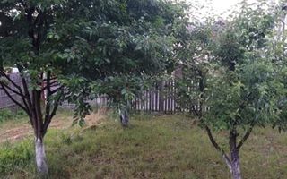 CASA 3 CAMERE, TEREN 800 MP, CAMPULUNG - Poză 5