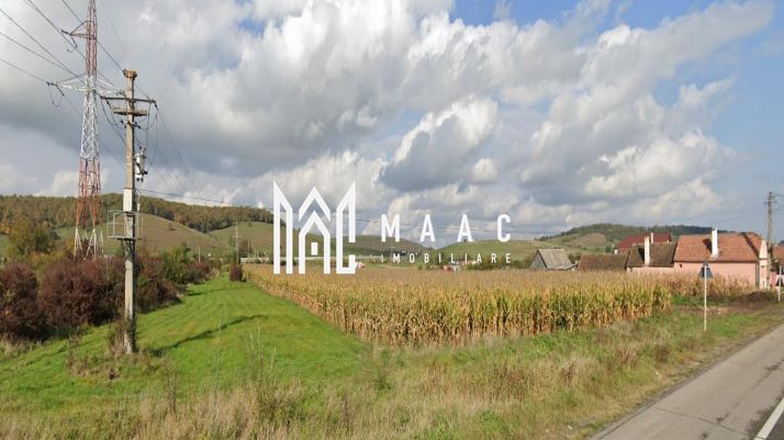 Teren | Proiect Case | Intavilan | 7000mp | Cristian - Poză 2