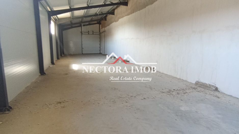 NECTORA IMOB-4 hale industriale noi, Zona Livada de Bihor, Curte mare - Poză 6