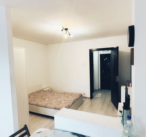 Garsoniera de inchiriat zona Lapus Arges - Poză 3