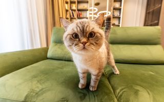 Apartament 2 camere de lux One Verdi Park complet mobilat loc parcare inclus - Poză 24