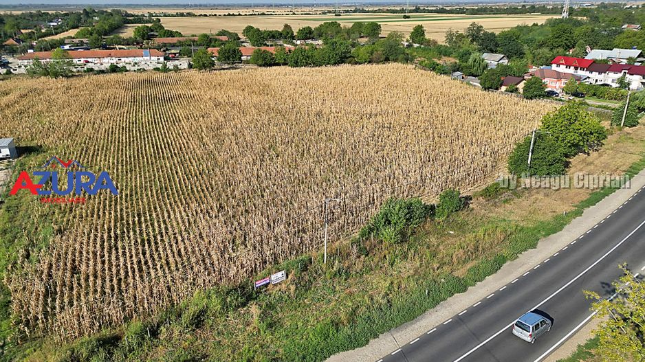AZURA Imobiliare - Teren la DN7 langa Gaesti, Crangurile - Badulesti - Poză 3
