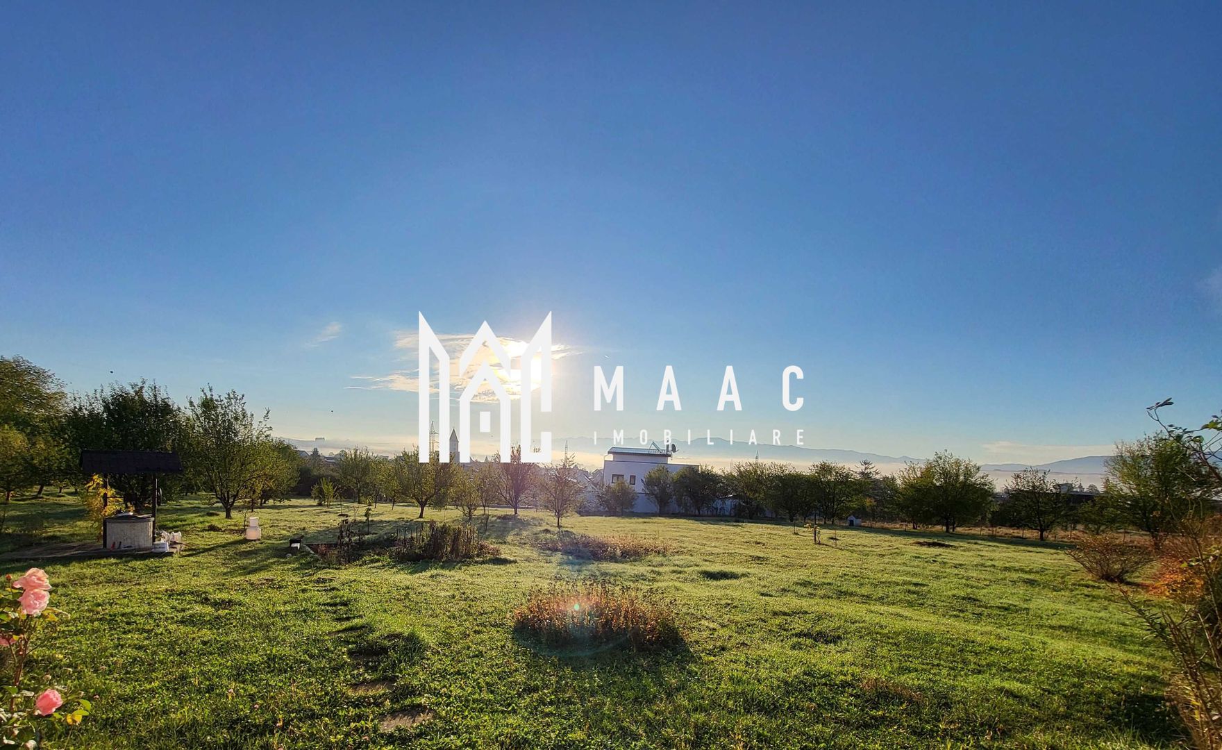 Teren | 1156 MP | Intravilan | Turnișor - Poză 2