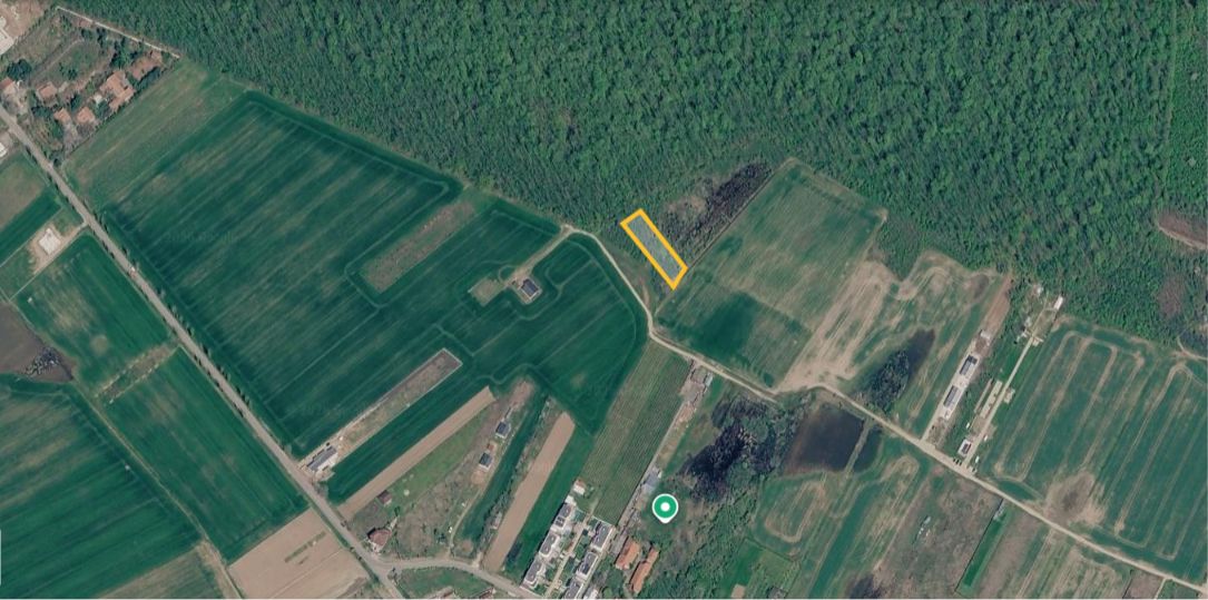 Vanzare Teren Intravilan Padure Izvorani (prin) Strada Florilor - Poză 1