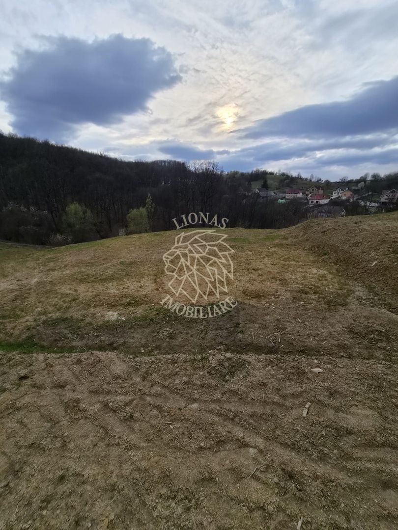 Teren extravilan 1500 mp,  5 min de centru, ideal Cabana, invetitie - Poză 1