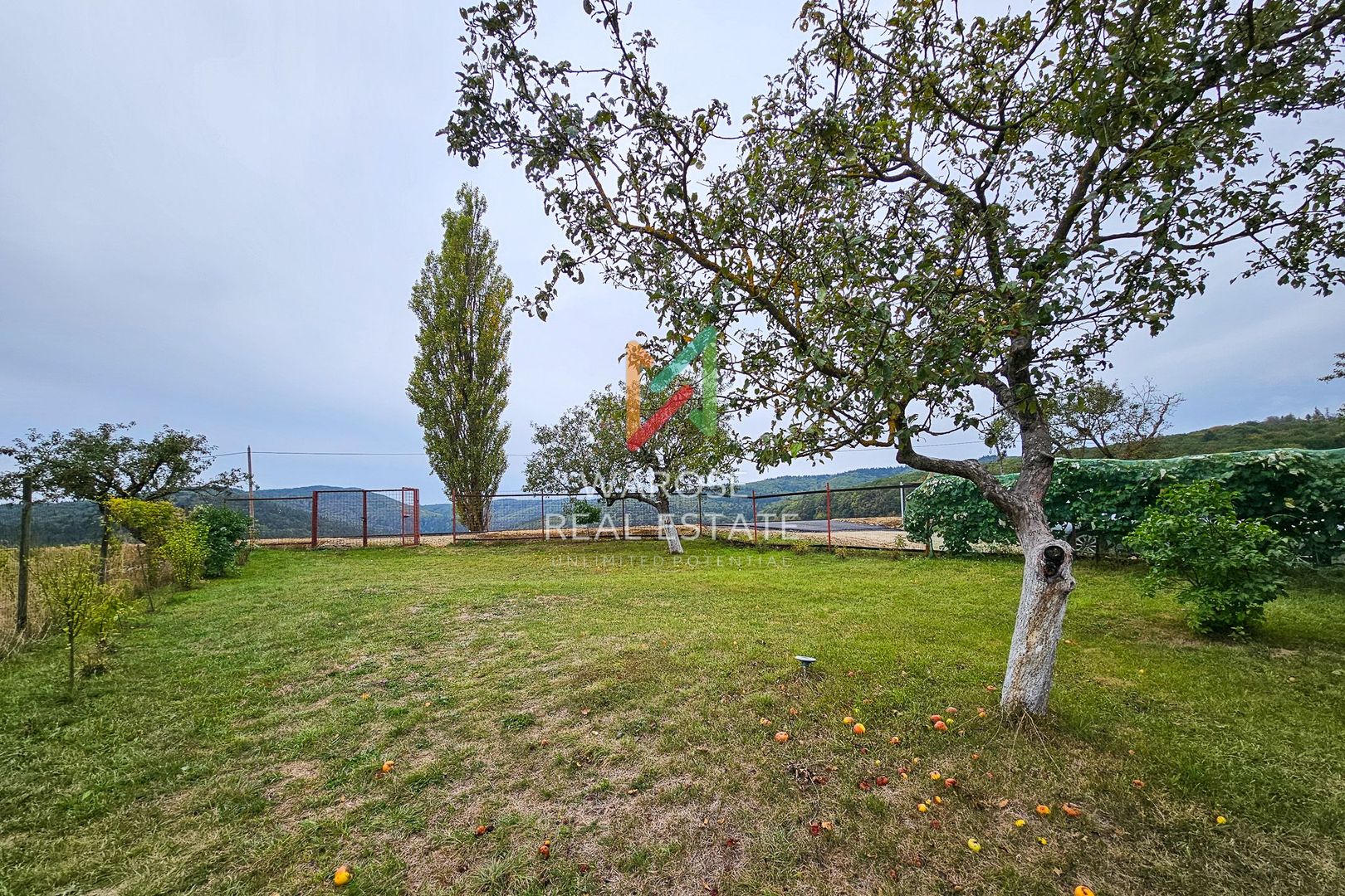 Teren Investitie- 1730 mp-Cabana construita 60 mp - Poză 16