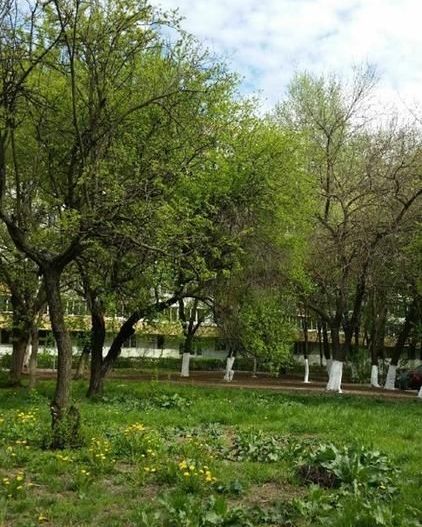 APARTAMENT ELEGANT METROU ZONA DRUMUL TABEREI - Poză 14
