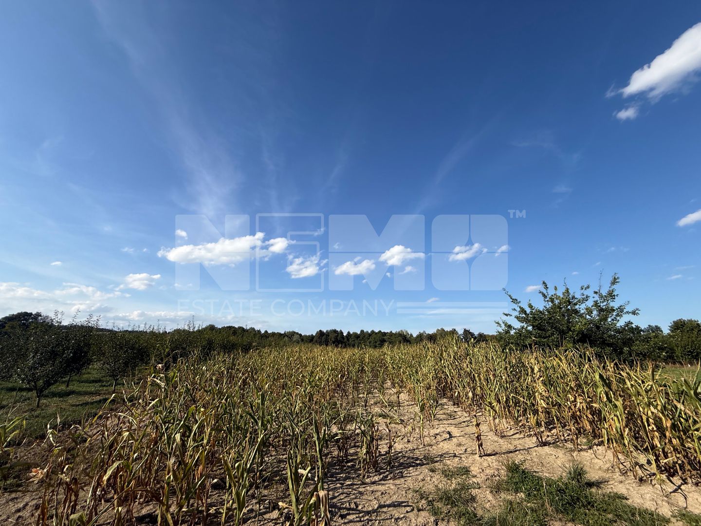 Teren intravilan Voitinel | 6.355 mp - Poză 6