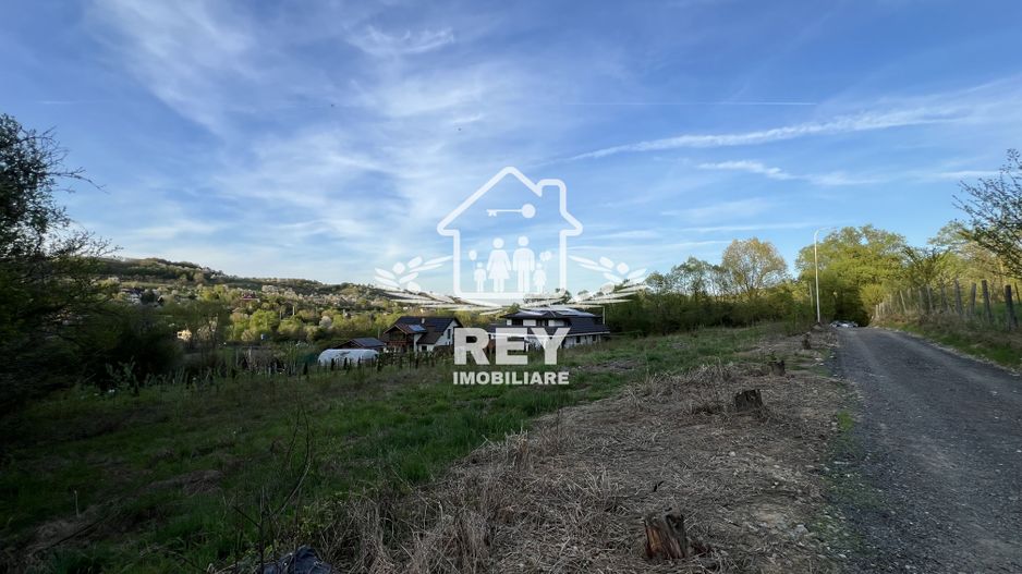 Teren 1250  mp de vânzare în Cisnădioara foarte aproape de asfalt/PUZ - Poză 8