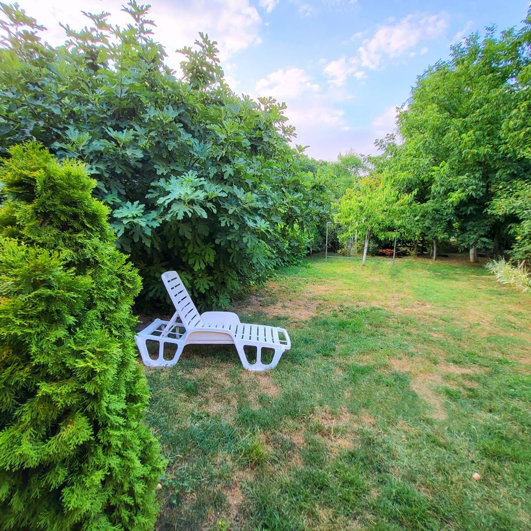 Vila-Timisoara -aleea Ghirodei-comision zero - Poză 14