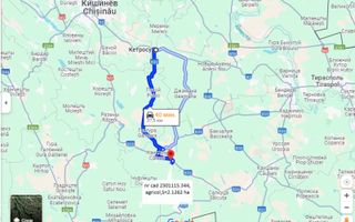 Teren 2Ha prima linie, Căinari - Poză 5