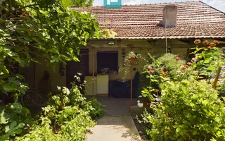 Casă cu livadă de pomi în Dorobanți - Poză 13