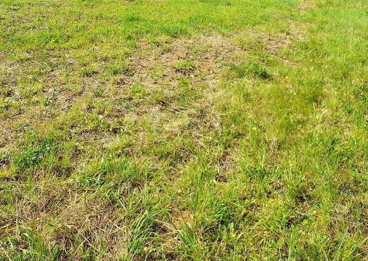 Teren de vis în Faget: Oportunitate unică pentru construirea casei tale ideale. - Poză 2