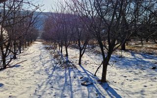 Teren intravilan parcelat Falticeni - Poză 3