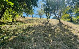 TEREN INTRAVILAN 3234 MP LEREȘTI VOINEȘTI ARGEȘ - Poză 35