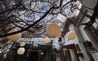 Spatiu comercial - Restaurant | Stradal | Trafic pietonal | Romana - Poză 9