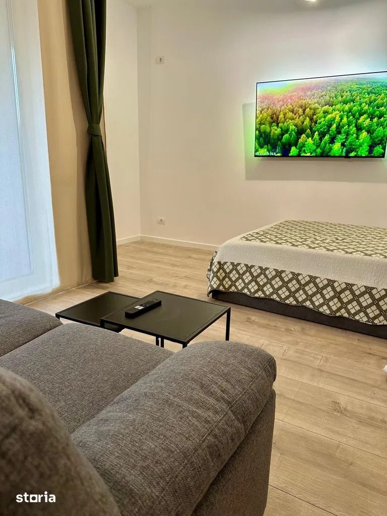 GARSONIERA GHICA APARTMENTS - CURTE PROPRIE 16 MP, PET FRIENDLY - Poză 3