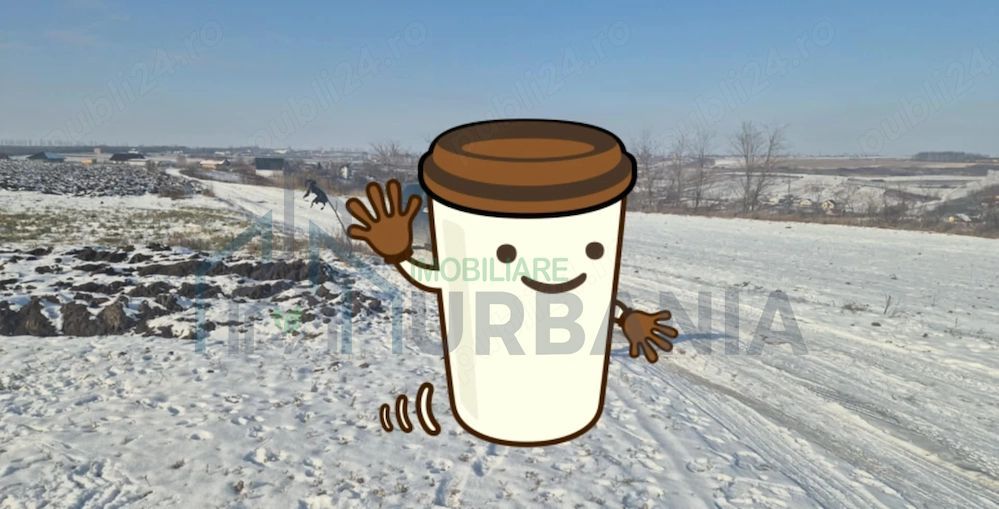 Teren investițional 1 ha, platou, în Proselnici, Miroslava (Iași) - Poză 2