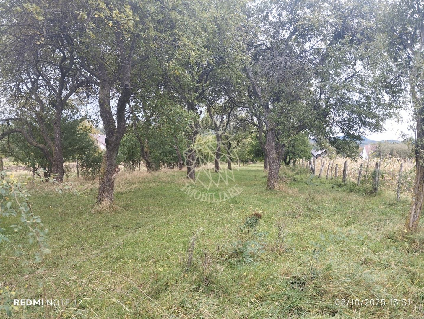 Teren intravilan 2500 mp-utilitati-ideal casa-Mijlocenii Bargaului - Poză 2