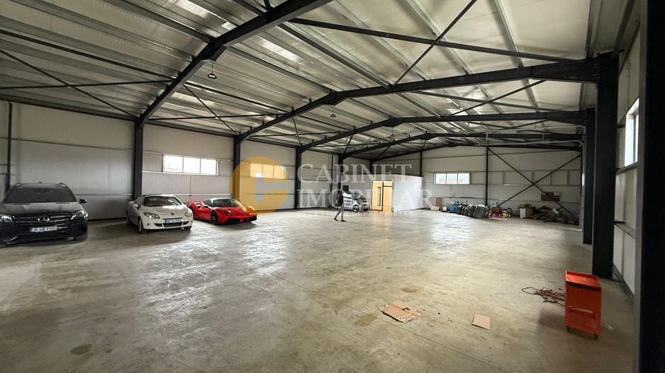 Hala industriala, 580 mp, Parc Industrial Valea Lupului - Poză 3