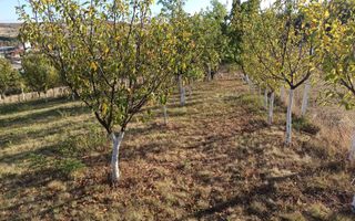 Teren intravilan 730 mp-livada-vedere panoramica-Valea Sigmirului - Poză 7