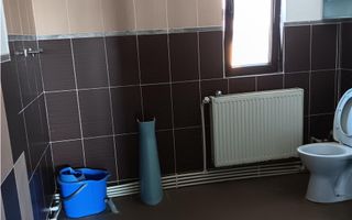 De vanzare vila individuala in Lunca Cetatuii Cartierul Tineretului - Poză 15