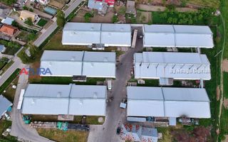 COMISION 0% - HALE Calinesti Arges - Poză 94