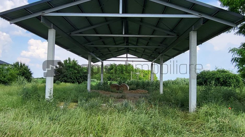 FERMA ZOOTEHNICA DE VANZARE - Poză 3
