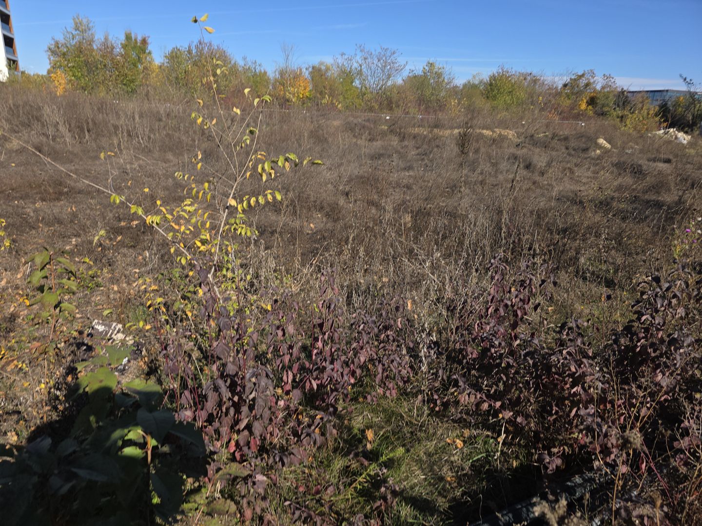 Teren intravilan, zona top, Jandarmeriei, autorizatie la zi! - Poză 5
