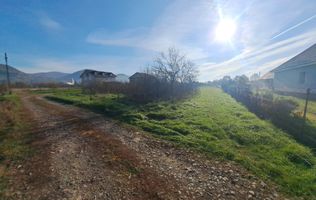 Teren de vanzare Seini