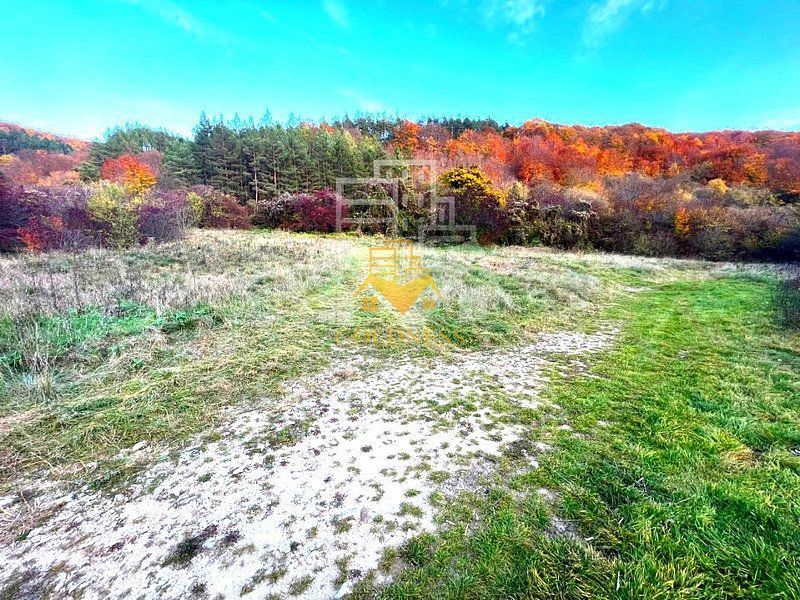 Teren intravilan, 1500 mp, zona Roata Faget - Poză 3