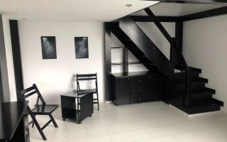 Vila 5 camere, Lebada - Poză 3