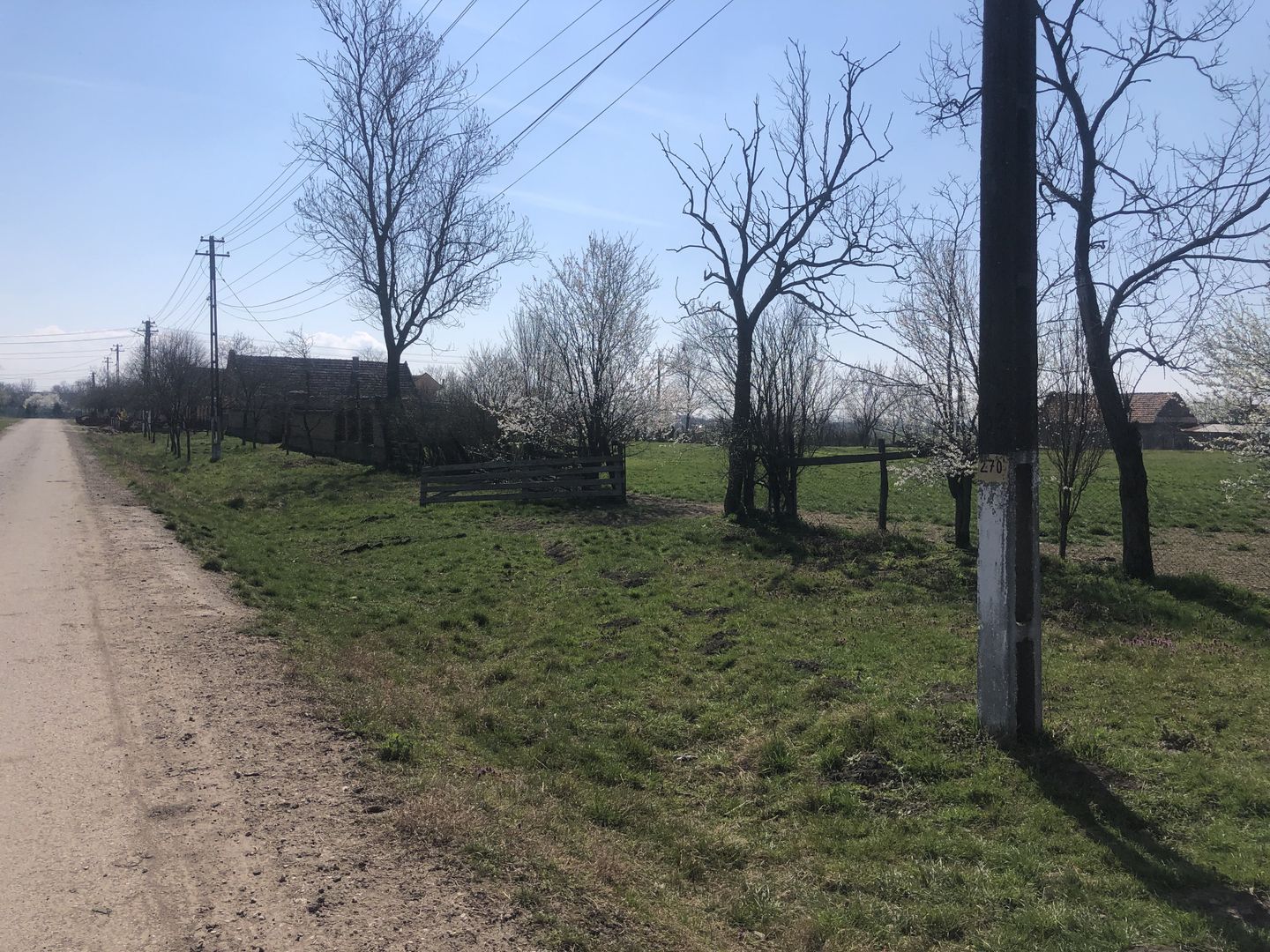 Teren Cheveresul Mare-2863 mp - Poză 3