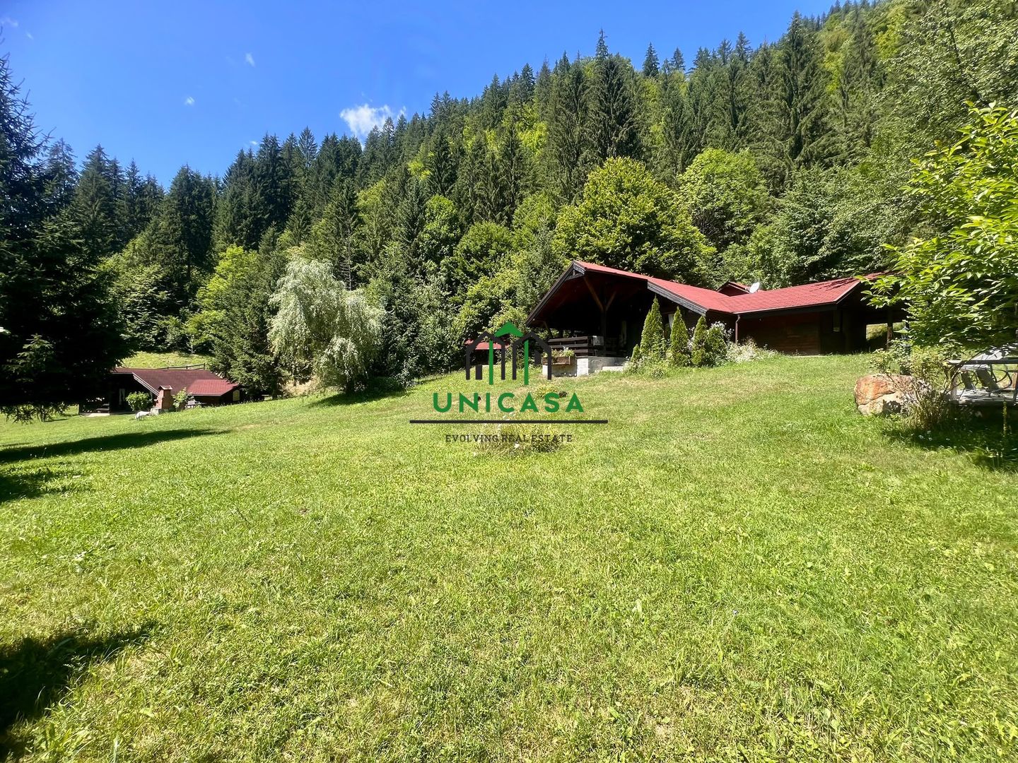 Proprietate deosebita de vanzare – Voinesița, Comuna Voineasa - Poză 1