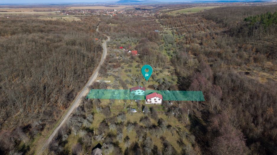 Cabană deosebită cu 4 camere în Căsoaia - Poză 2