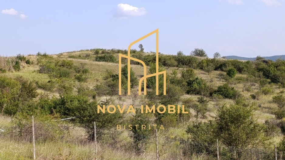 Teren extravilan parcelat Valea Budacului - Poză 1