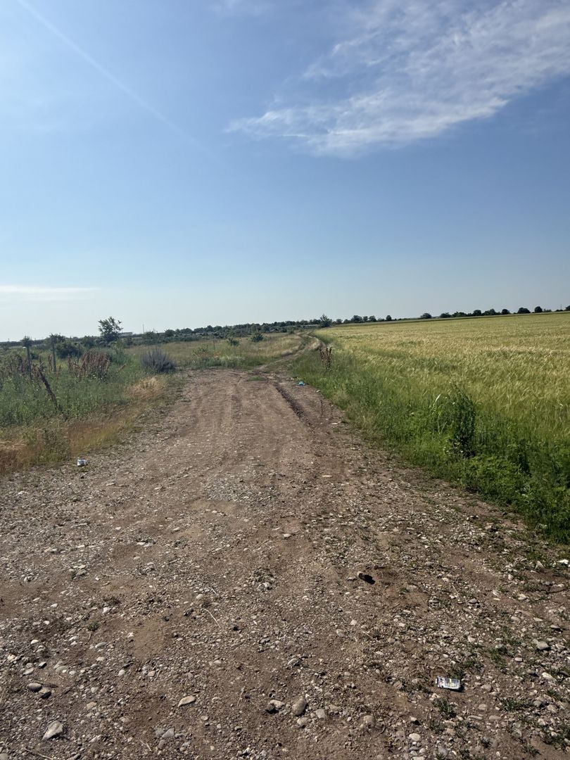 Teren 10 hectare pretabil pt panouri solare-Aricesti Rahtivani - Poză 14