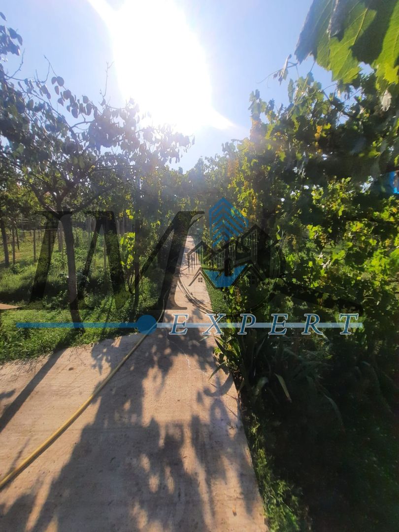 Casa in Sebeș de vânzare - Poză 9