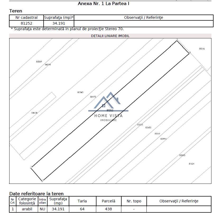 Teren agricol extravilan – Rătești, Argeș - Schiță 2