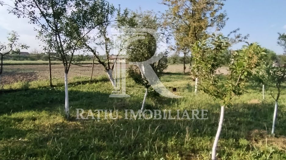 Casa cu 3 camere | Picleu | Bihor - Poză 13