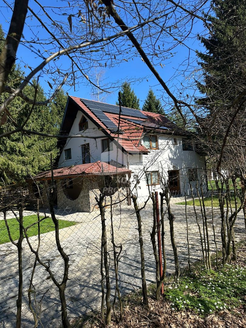 Pensiune/ Vila Valea Avrigului - Poză 31