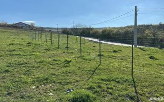 Teren de vanzare - Poză 2