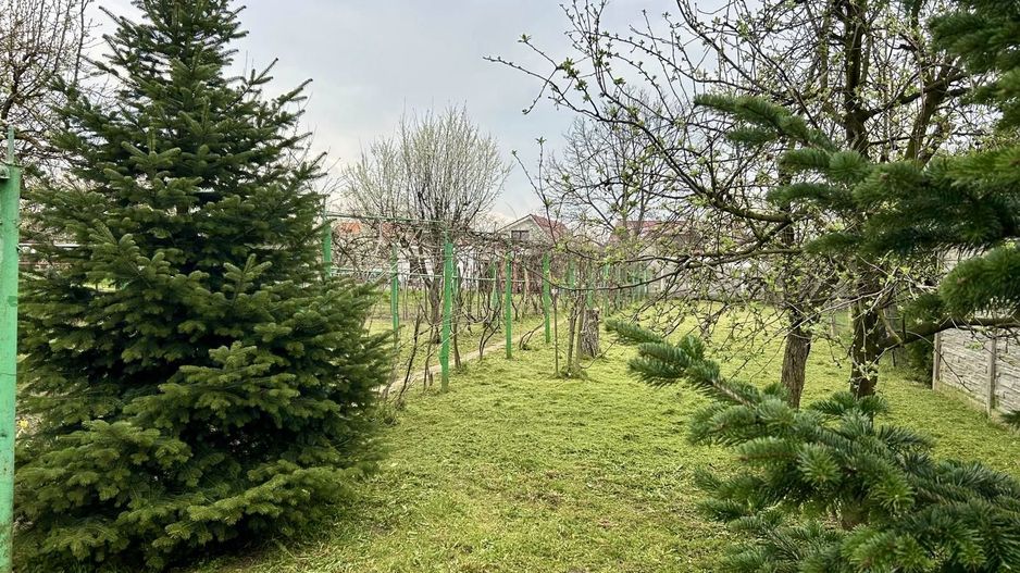 TEREN GENEROS 1000 MP - Poză 3