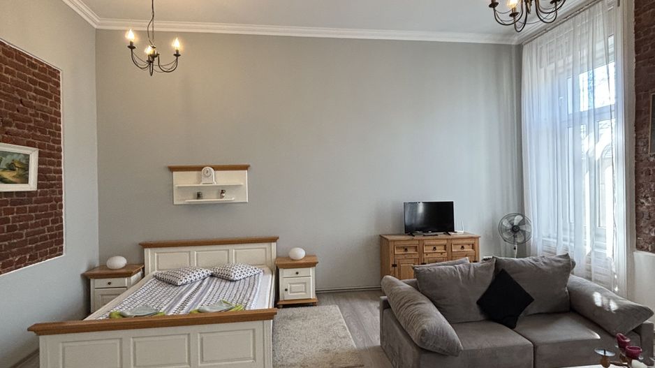 Apartament cu o camera în clădire istorică ,zona Maria - Poză 16