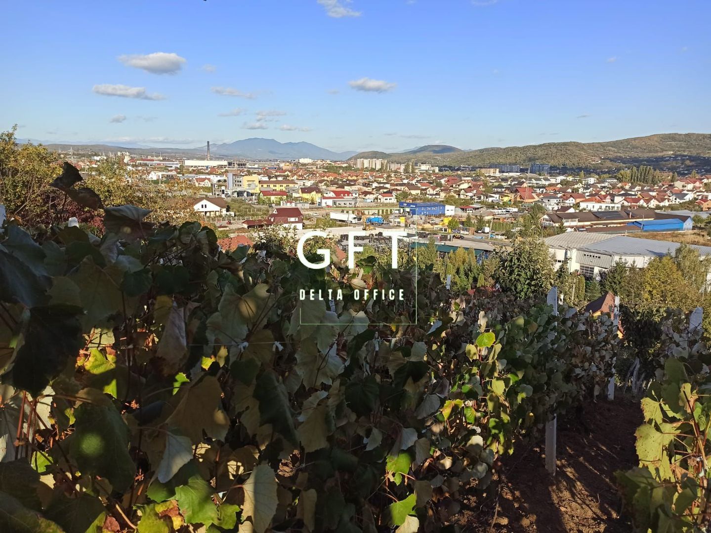 Teren intravilan 730 mp-livada-vedere panoramica-Valea Sigmirului - Poză 2