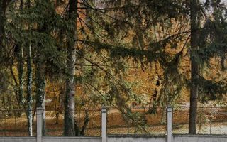 Apartament lângă Grădina Botanică, renovabil! - Poză 1