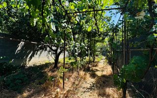 Casa singur in curte Iosia - Poză 3