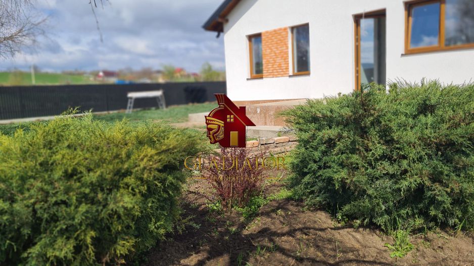 Casa plan parter deosebita, Lunca Cetatuii Ciurea, la asfalt, zona vis - Poză 8